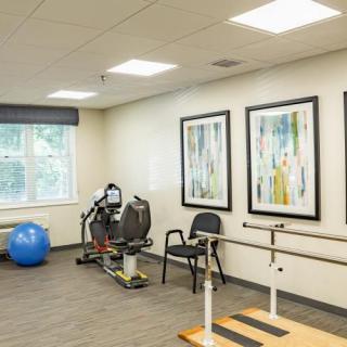 A rehabilitation room with exercise equipment, including a stationary bike and fitness ball, adorned with artwork on the walls.