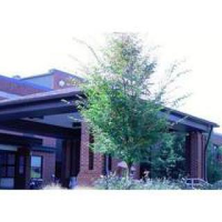A modern building entrance with a tree in the foreground.