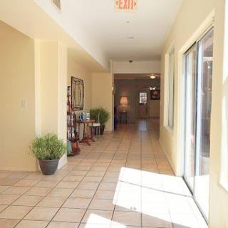 A bright and inviting hallway featuring tiled floors, potted plants, and ample natural light.
