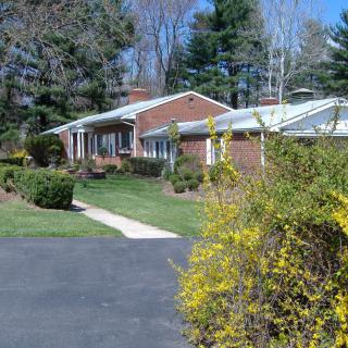 A brick house with a driveway surrounded by greenery and shrubs in a residential area.