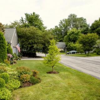 A suburban neighborhood street with houses, trees, and a well-maintained lawn.