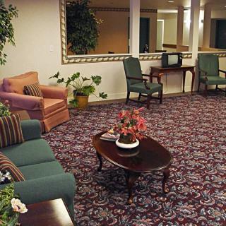 A cozy living room with patterned carpet, comfortable seating, and decorative plants.