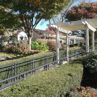 A landscaped garden with a pathway under a pergola, surrounded by trees and shrubs.