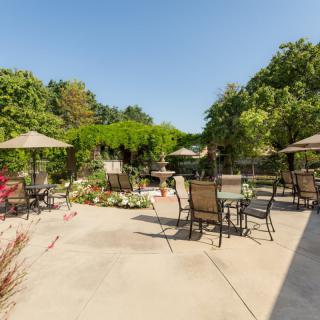 A sunny outdoor patio with tables, chairs, and umbrellas surrounded by lush greenery.