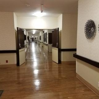 A well-lit hospital corridor with wooden flooring and decorative elements on the walls.