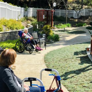 Seniors enjoying a sunny day in the garden, surrounded by greenery and using mobility aids.