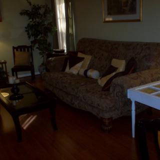 A cozy living room with a patterned sofa, several pillows, a coffee table, and an indoor plant.