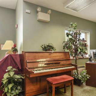 A cozy office space featuring a piano surrounded by plants and furniture.