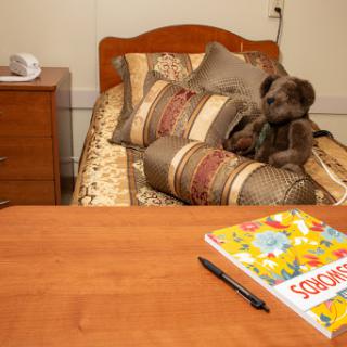 A cozy bedroom scene featuring a neatly made bed with decorative pillows, a stuffed animal lounging on the bed, and a study desk holding a colorful children's book.