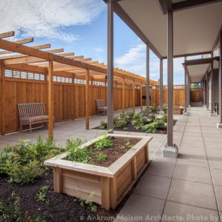 A modern courtyard featuring raised garden beds, a pergola, and outdoor seating.