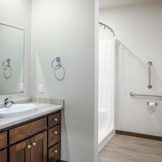 A modern bathroom featuring a sink with a mirror and a shower with accessibility features.