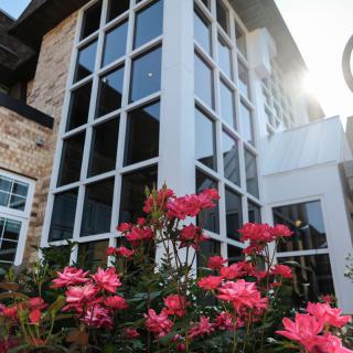 A modern building with large windows and vibrant pink flowers in the foreground.