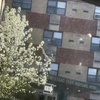 A view of a residential building with blooming trees in the foreground.