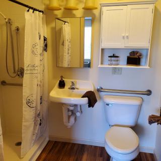 A well-organized bathroom featuring a shower, toilet, and sink with decorative elements.