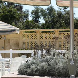 A sunny outdoor patio area with umbrellas, seating, and lush greenery.