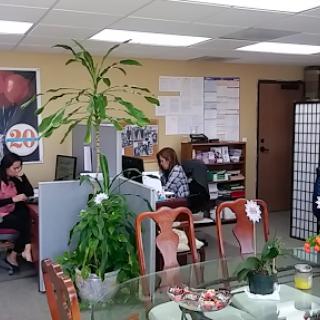 A busy office environment with employees working at their desks, surrounded by plants and a dining table.