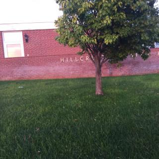 A serene view of a tree in front of a brick building with lush green grass.
