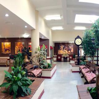 A spacious lobby featuring comfortable seating, lush greenery, and decorative artwork.