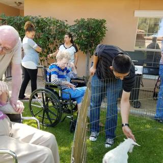 People enjoying a day at a petting zoo in a garden setting.