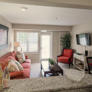Modern living room with a cozy seating area and decorative elements.