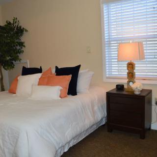 A cozy bedroom featuring a neatly made bed with colorful pillows, a nightstand with a lamp, and a large plant by the window.