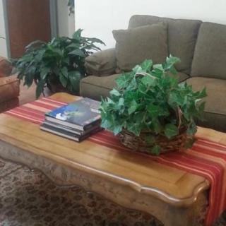 A cozy living room features a wooden coffee table adorned with books and greenery, complemented by a comfortable sofa.