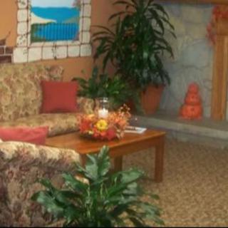 A cozy living room with a floral sofa, decorative plants, and a fireplace.