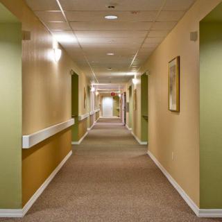 A long, well-lit hallway with a carpeted floor and pale green and beige walls.
