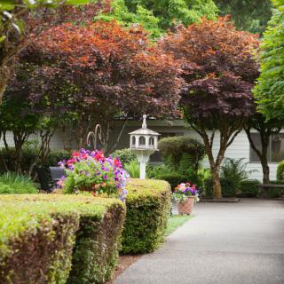 A serene garden pathway lined with lush greenery and colorful flowers.