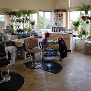 A cozy hair salon interior with chairs, mirrors, and plenty of plants.
