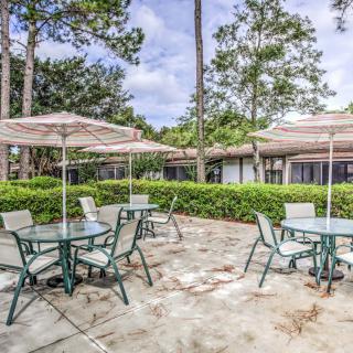 An outdoor patio area with several tables and chairs shaded by umbrellas, surrounded by lush greenery and trees.