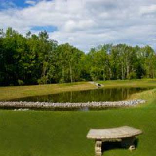 A peaceful outdoor scene featuring a pond surrounded by trees and grass, with a stone bench in the foreground.