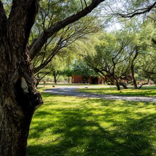 A scenic view of a park with lush green grass and trees lining a pathway.