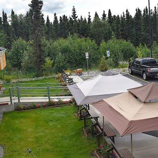 A view of a patio area with umbrellas surrounded by lush greenery and trees, with a vehicle parked nearby.