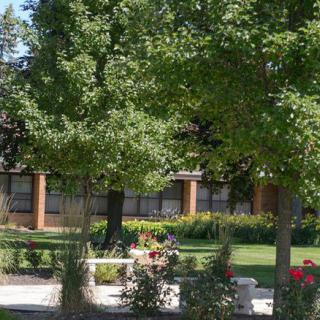 A tranquil garden setting with lush trees and a bench near a building.