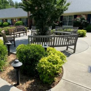 A sunny outdoor garden area with benches and lush greenery.