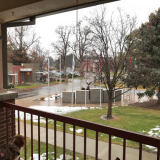 A rainy day view from a balcony, showcasing trees and urban buildings.