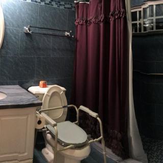 An accessible bathroom with a toilet, shower curtain, and grab bars.