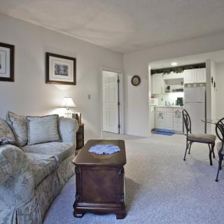 A cozy living room with a sofa, coffee table, and a view into the kitchen area.