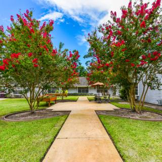 A landscaped garden with a pathway lined by flowering trees and benches under a blue sky.