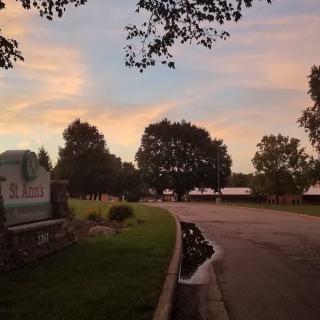 A scenic view of a road lined with trees at sunset.