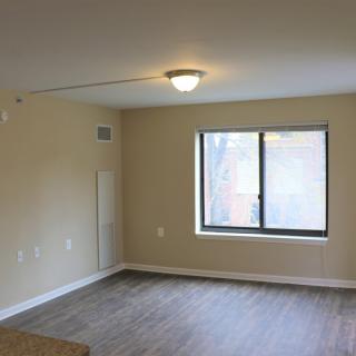 An empty room with a window, overhead light, and wood-style flooring.