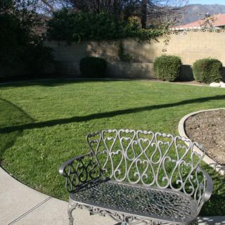 A sunny garden with a decorative metal bench and well-maintained lawn.