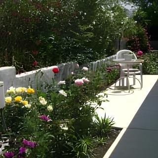 A serene garden path lined with vibrant flowers and a seating area.
