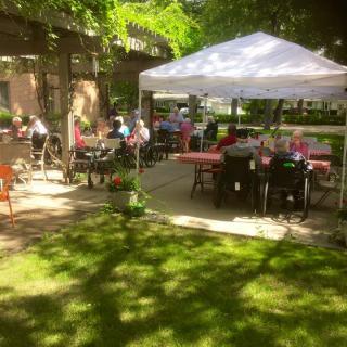 A lively outdoor gathering with people sitting under a canopy tent in a garden setting.