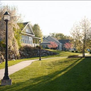 A serene neighborhood scene with houses, a grassy pathway, and blossoming trees.