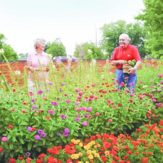 Two people enjoying a colorful garden in full bloom.