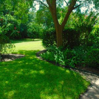 A serene garden view featuring lush green grass and vibrant plant life.