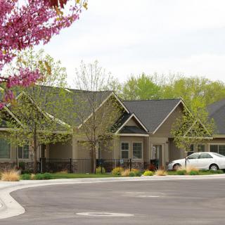 A peaceful suburban setting featuring modern homes and blooming trees.