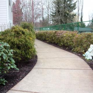 A curved sidewalk lined with bushes and trees in a landscaped garden.